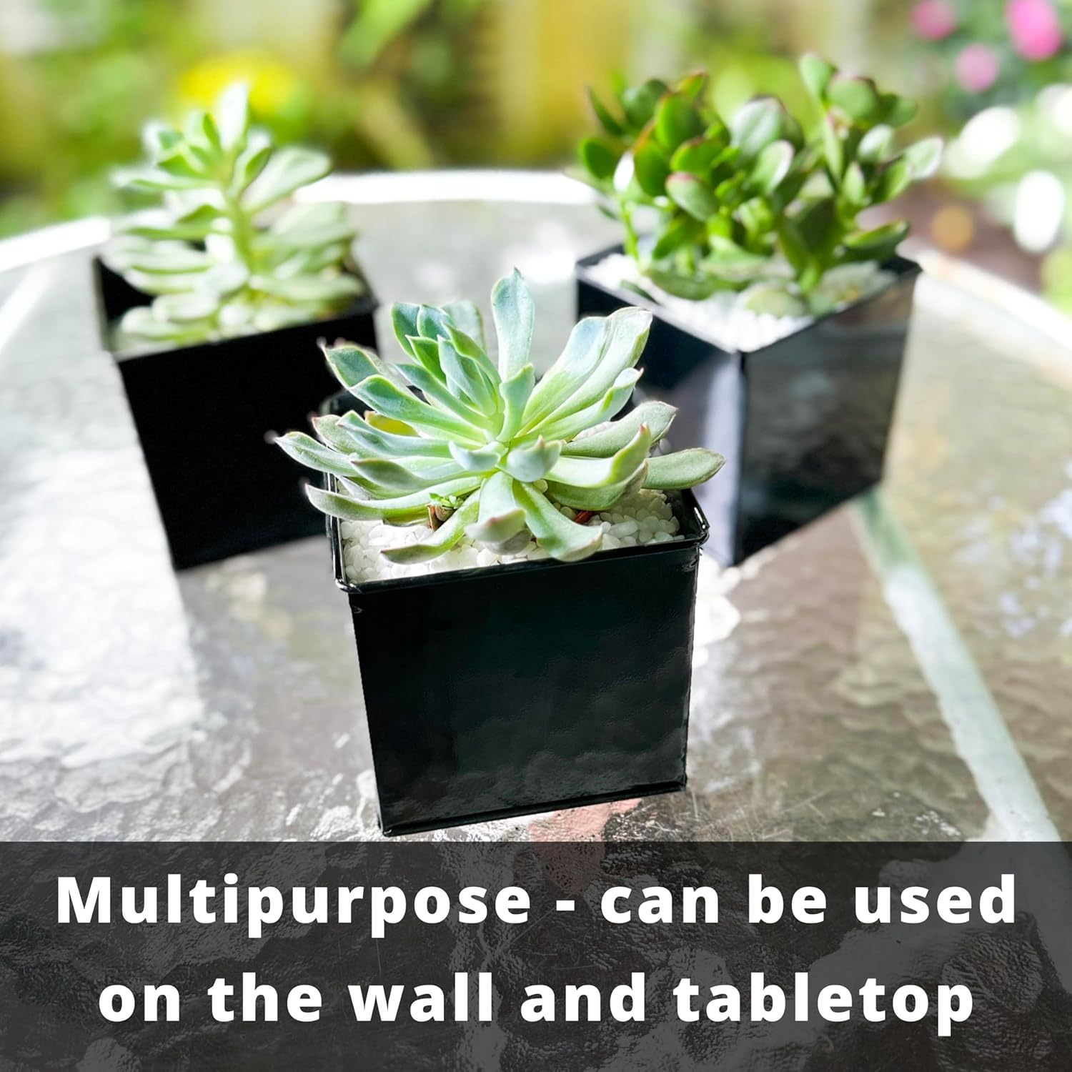 Lalagreen Wall Planter - 6 Pack, 4 Inch Square Metal Wall Planter for Indoor Plants, Small Black Wall Mounted Flower Pots Outdoor Garden Decoration, Balcony Planters Railings Hanging Outdoor - Black image number 4