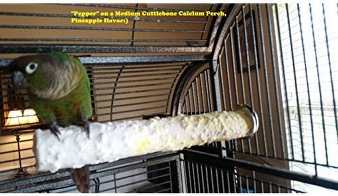 Polly'S Bird Perch, Medium image number 2