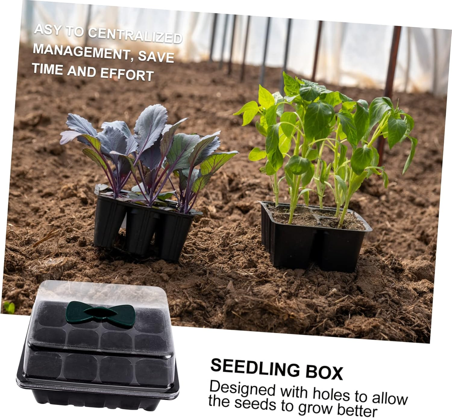 2Pcs Breathable Seedling Box Plant Sprouting Box Lids Seed Sprouting Stand for Gardening Accessory image number 5