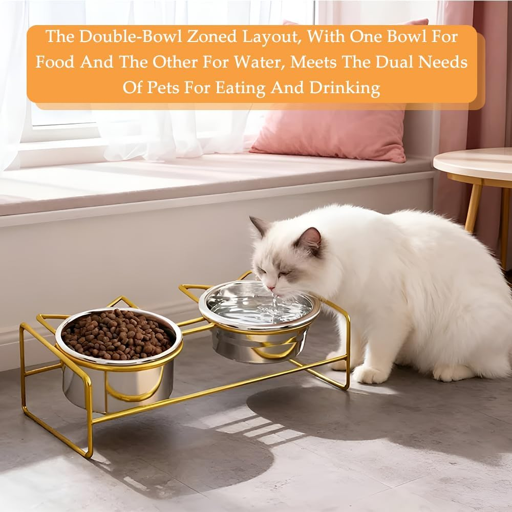 Cat Bowl, Double-Layer Stainless Steel Pet Bowl with 10&deg; Tilt Stand for Food and Water, Anti-Vomiting Cat Bowls Feeder, Ideal for Kittens and Small Dogs (Gold) image number 1