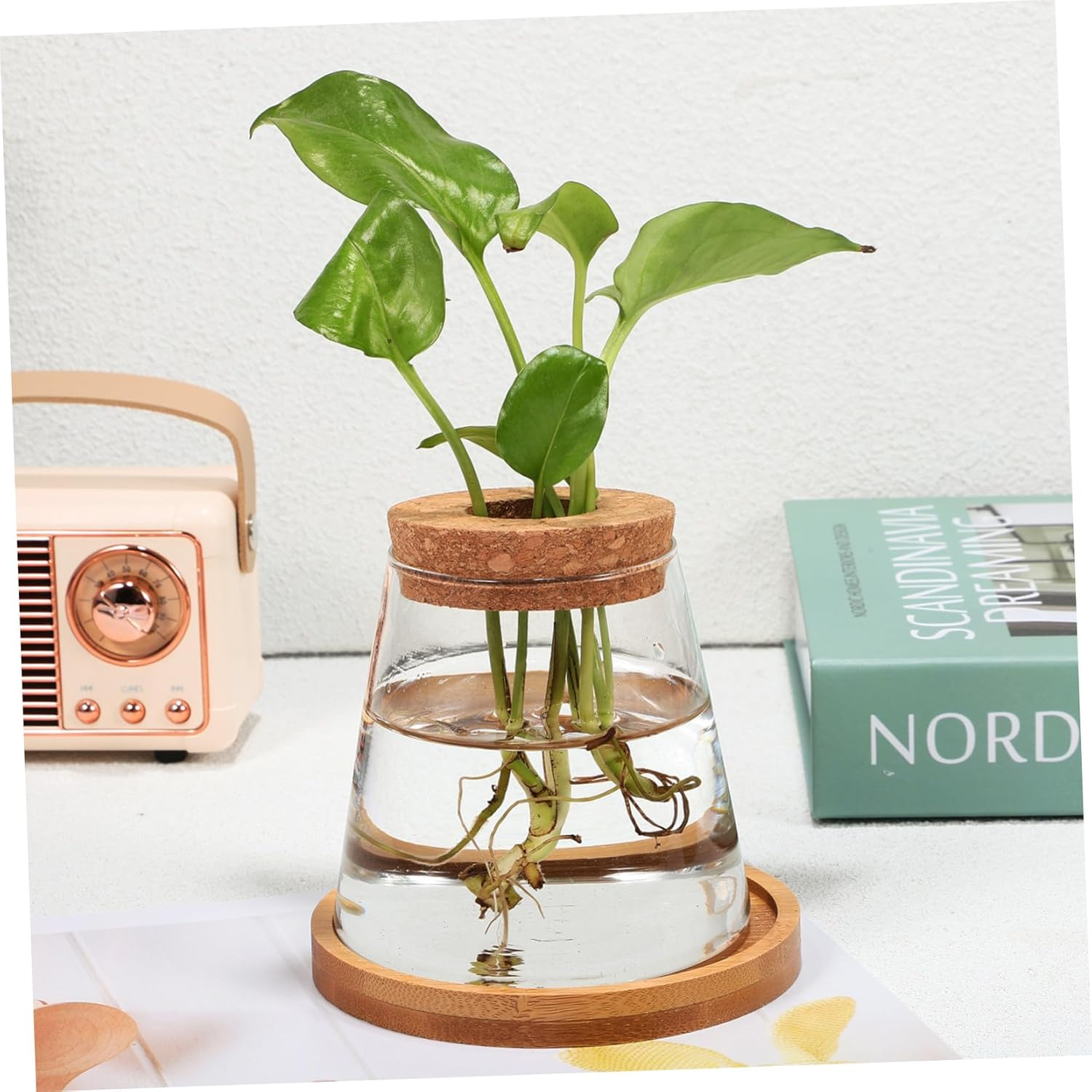 COHEALI 2Pcs Clear Glass Propagation Station with Base Transparent Water Planter Bottles for Hydroponic Plants Compact Vases for Indoor Desk Apartment Office Decoration image number 4