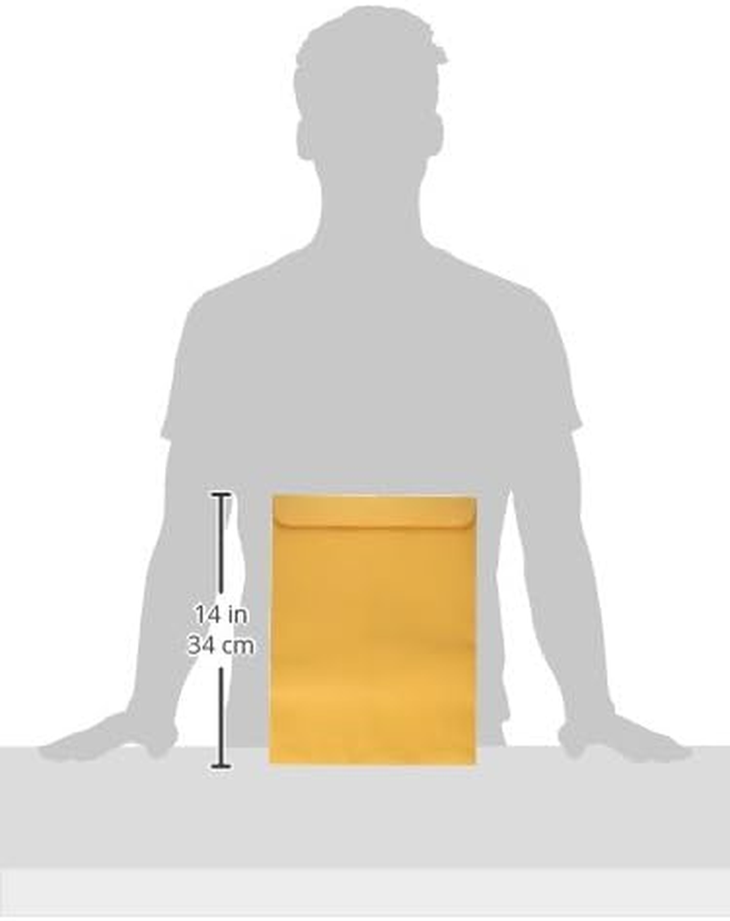 Quality Park 10 X 13 Catalog Envelopes with Self Seal Closure, 28 Lb Brown Kraft, Great Option for Mailing, Storage and Organizing, 100 per Box (44762)