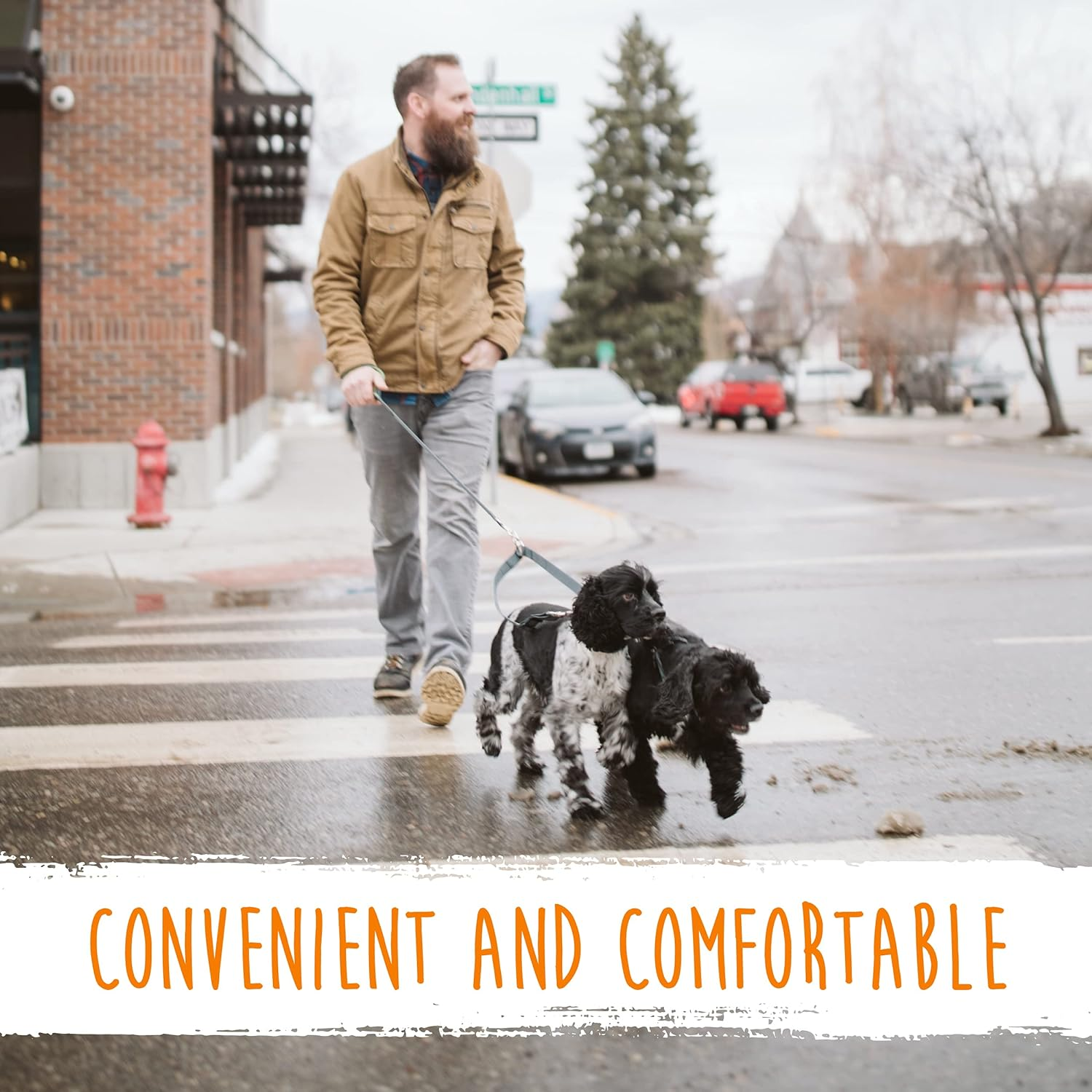 Mighty Paw Double Dog Leash, Two Dog Adjustable Length Dog Lead, Premium Quality No-Tangle Leash for 2 Dogs image number 2