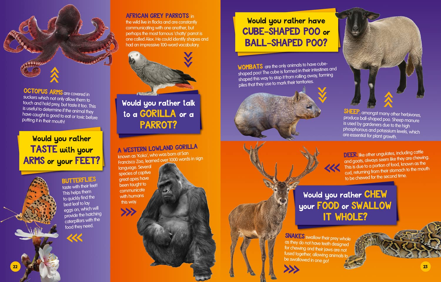 National Geographic Kids - Would You Rather? Animals: a Fun-Filled Family Game Book