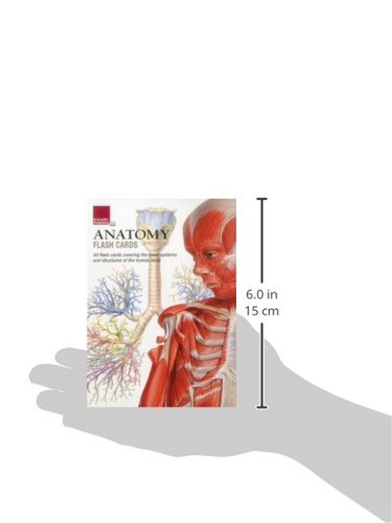 Anatomy Flash Cards image number 1
