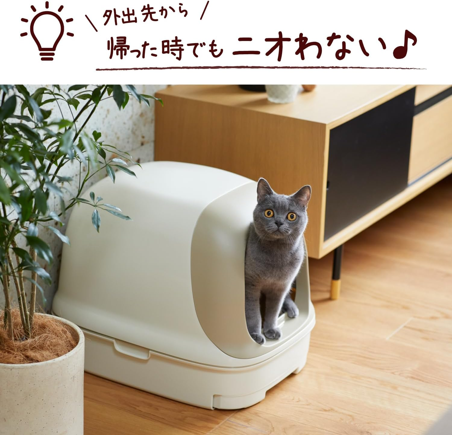 Nyan Tomo Clean Toilet, Cat Sand, Deodorizing/Antibacterial Chip, Super Pleasant Deo Premium, Large Grain 1.5 Gal (4.4 L) image number 5