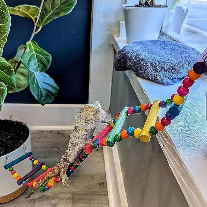 Ksngtixe 1 Pcs 12-Step Wooden Parrot Ladder - Rainbow Bird Climbing Bridge for Chewing & Play, Natural Wood Pet Toy for Hanging/Standing Cage Accessories image number 3