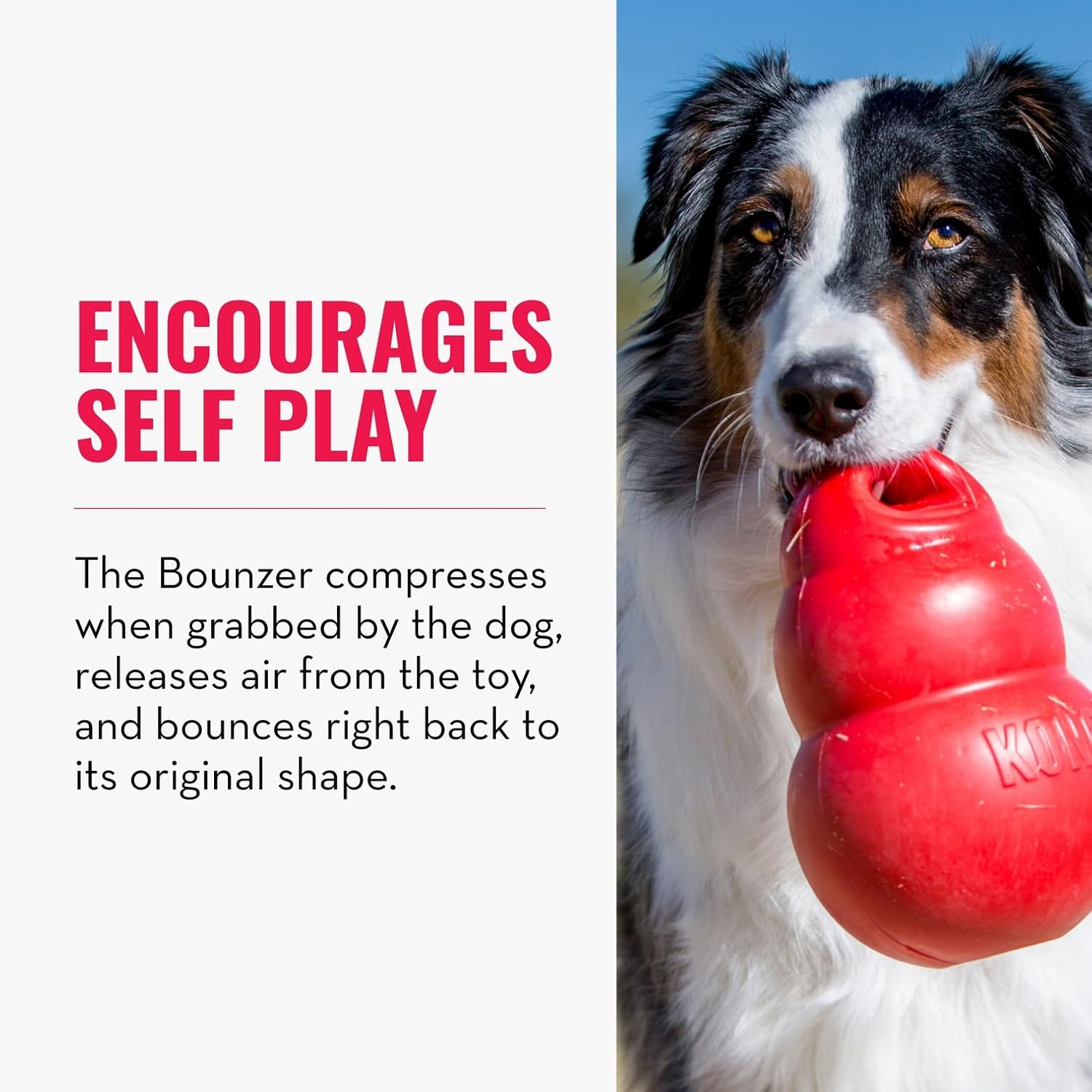 Kong Bounzer Medium Dog Toy image number 1