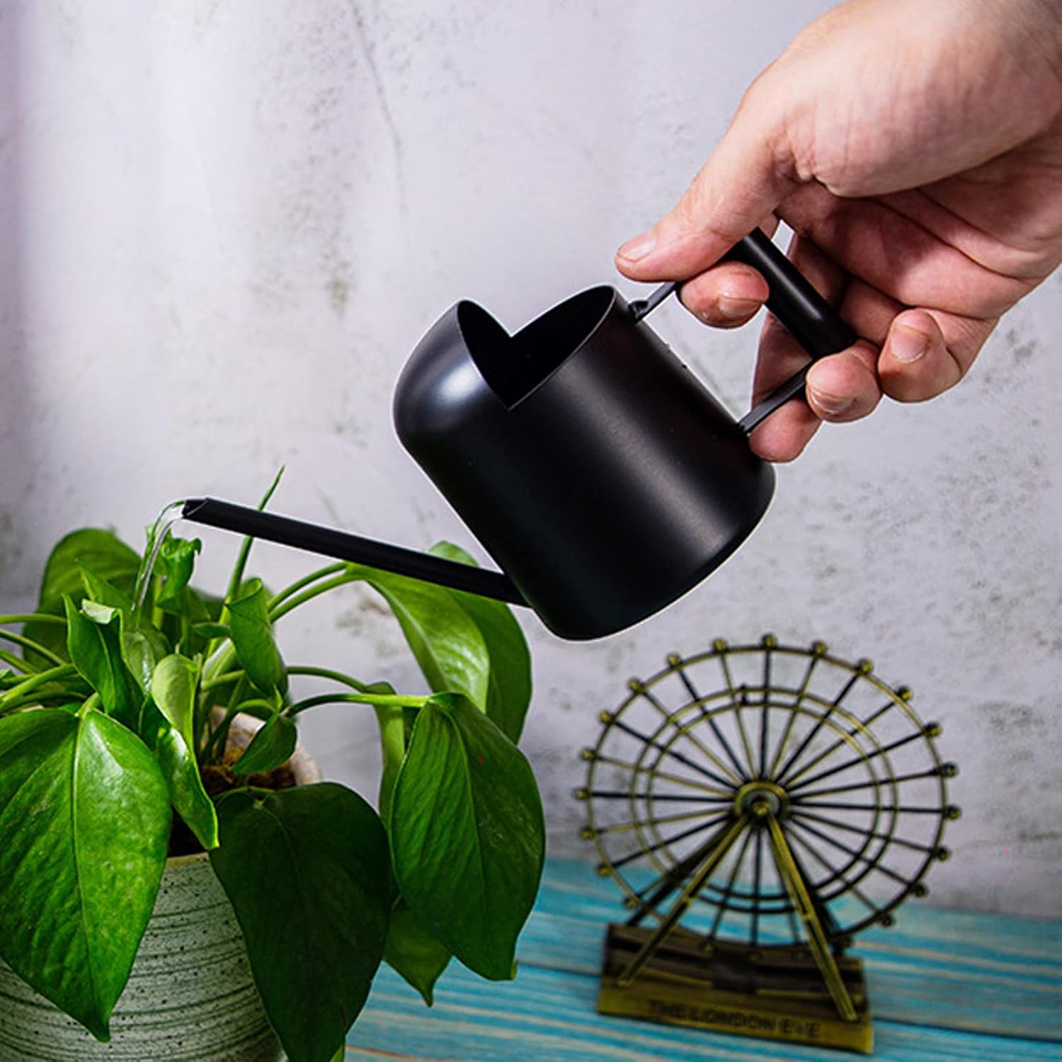 Mini Watering Can, 10Oz/300Ml Stainless Steel Long Spout Sprinkling Pot Small Watering Can for Plants, Garden Watering Pot for Indoor Outdoor Flowers, Succulents (Black)