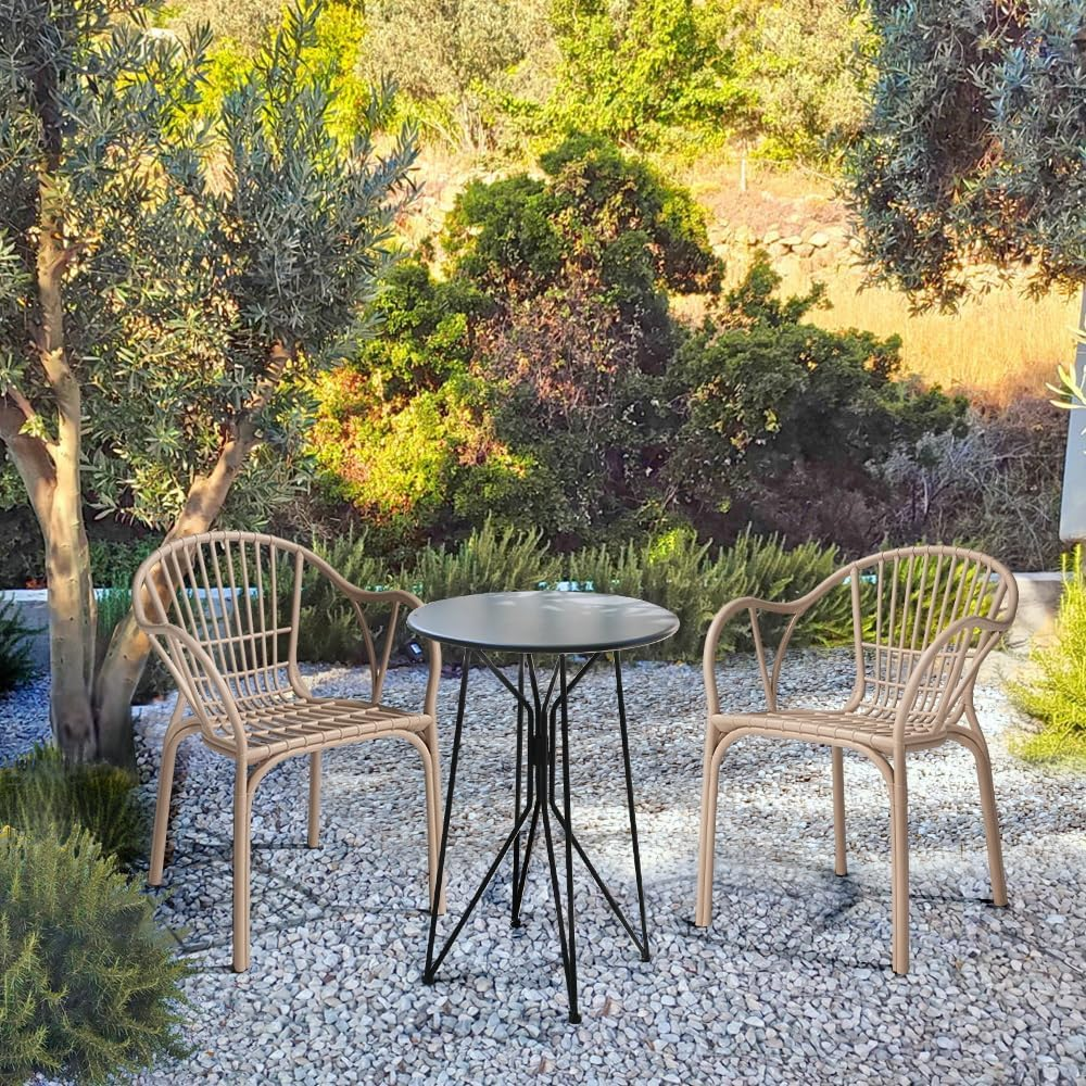 Furb Camel Dining Chairs, Plastic Kitchen Chairs Set of 2 image number 1