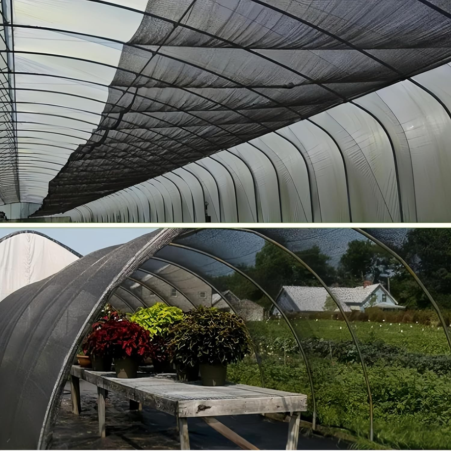 2.4 X 4 M Mosquito Insect Bird Net,Greenhouse Barrier Mesh,Floating Row Covers Ultra Fine Garden Netting,Anti-Bird High-Density Cuttable Plant Netting,For Protect Vegetables Fruits Flower Crop (Black) image number 2