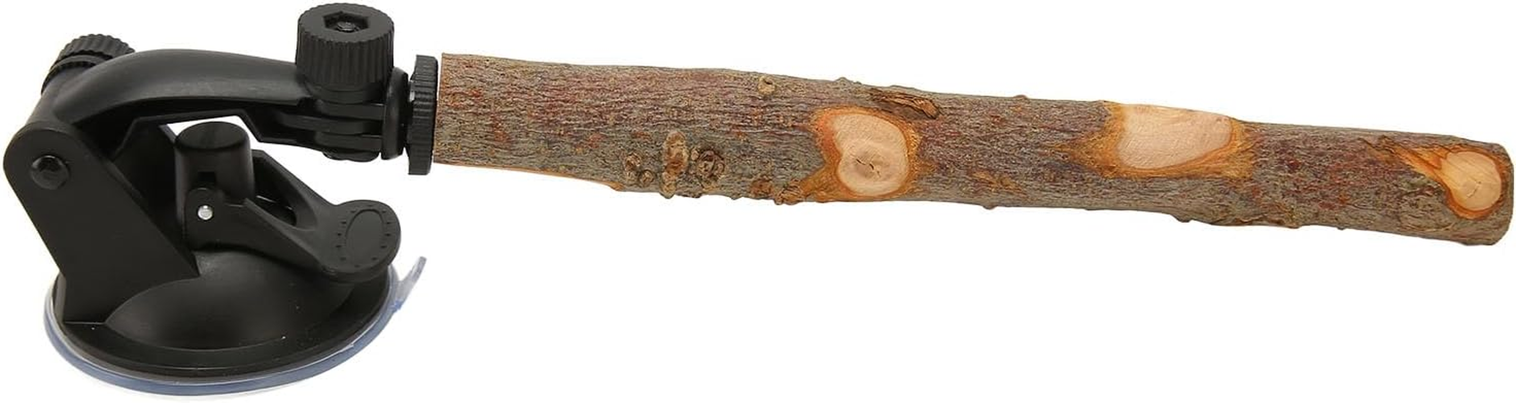 Bird Standing Stick, Sturdy Wood Bird Perch Interactive Prevent Slip Safe with Suction Cups for Parakeets (15CM) image number 5