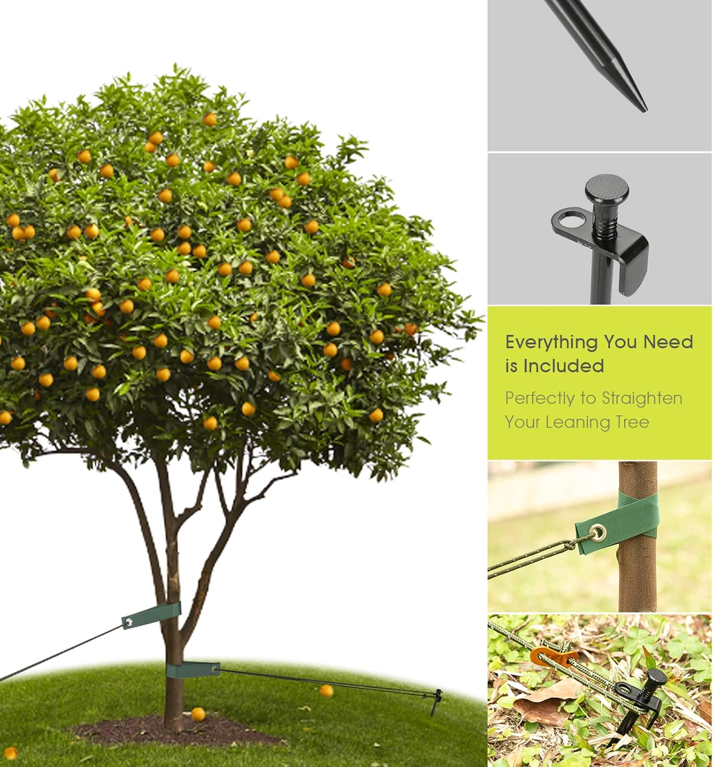 Heavy Duty Tree Stake Kits, 11.8 Inch Steel Tree Stakes and Supports for Young Tree anti Strong Wind, Leaning Tree Anchor Straightening Kit with 3 PCS Steel Stakes, 13.12 Feet Rope and Tree Straps image number 2