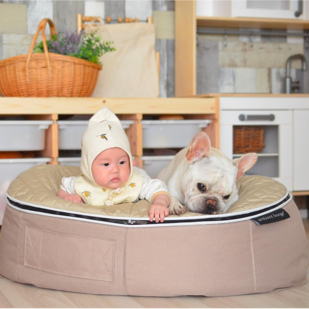 [Ambient Lounge Japan] Pet Lounge, Washable, Dog, Cat, Bed, High Quality, Memory Foam, Made in Japan, Premium - Wolf Gray, M Size