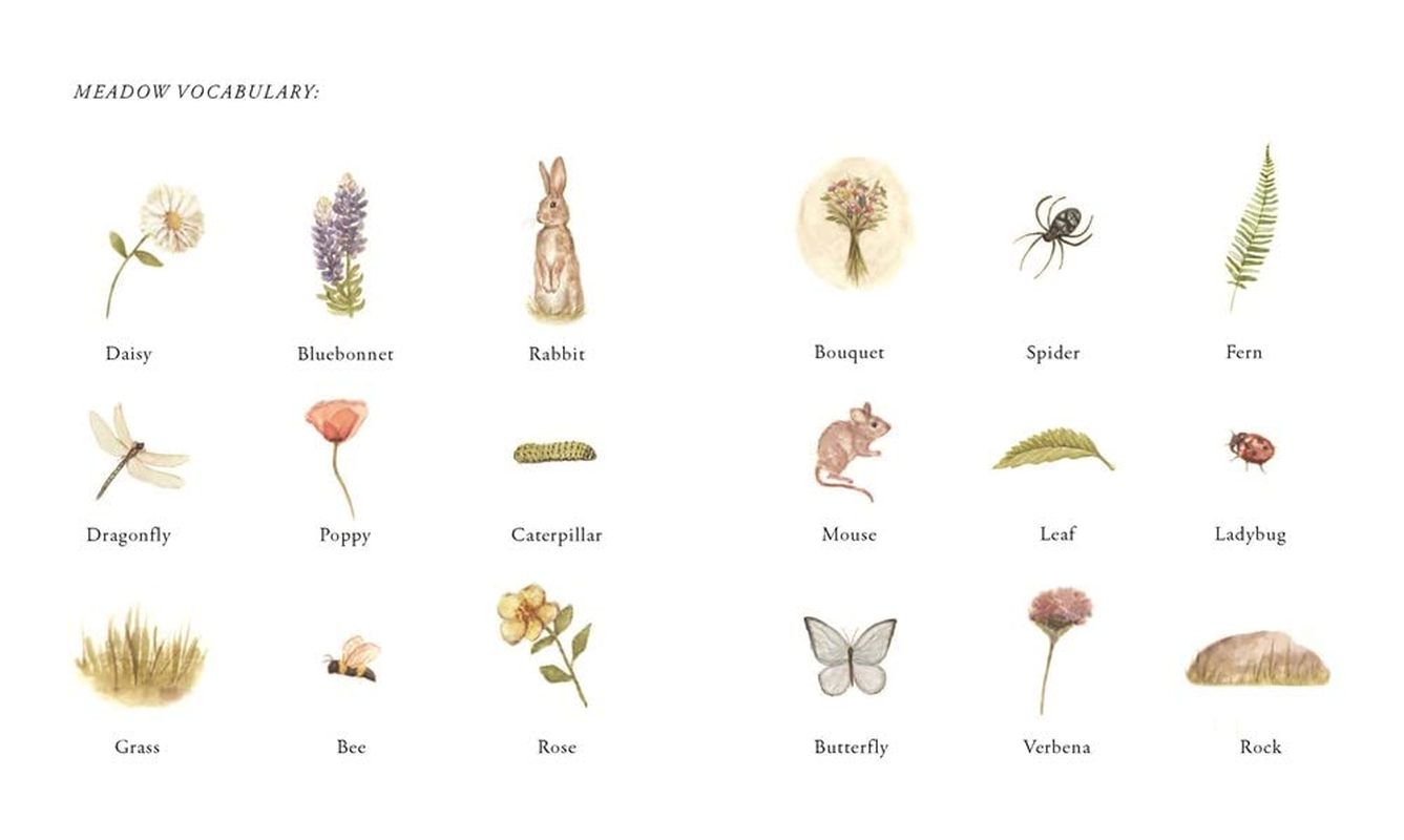 Our Little Adventures: Stories Featuring Foundational Language Concepts for Growing Minds image number 3