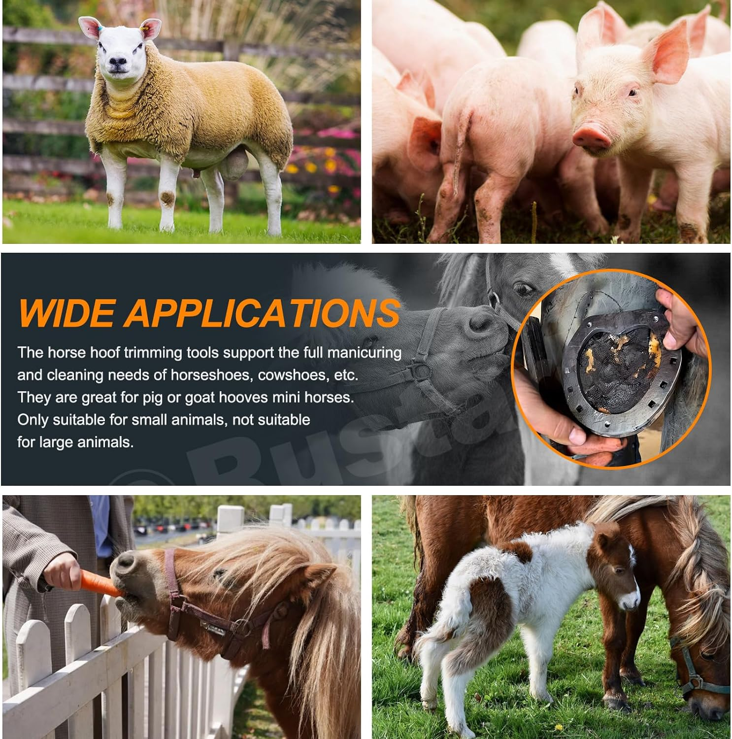 5Pcs Professional Farrier Tools Kit with Roll Pack Hoof Trimming Tools Set Includes Hoof Nipper, Hoof Trimming Shears, Hoof Rasp, Hoof Cutter for Horse image number 5