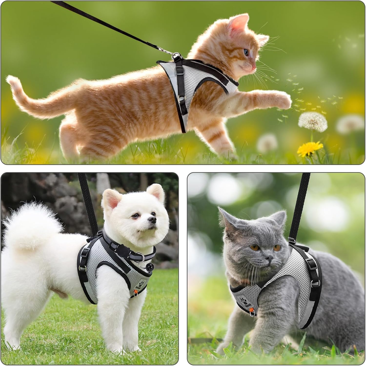 TAIXING Adjustable Reflective Cat Harness with Lead, Escape Proof, Grey, Fashion, Cat Harness, 360-Degree Reflective Band, Bell on Collar, Lost Card Hanging Loop, Small image number 5