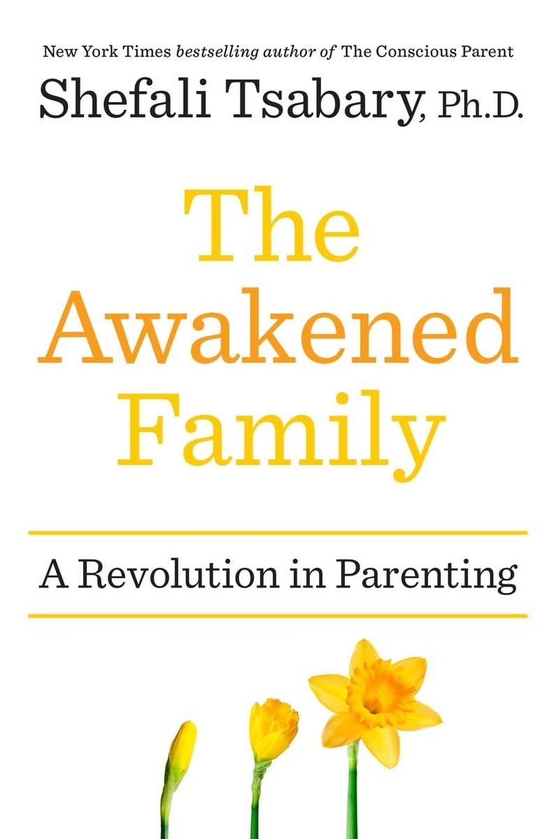 The Awakened Family: How to Raise Empowered, Resilient, and Conscious Children. image number 1