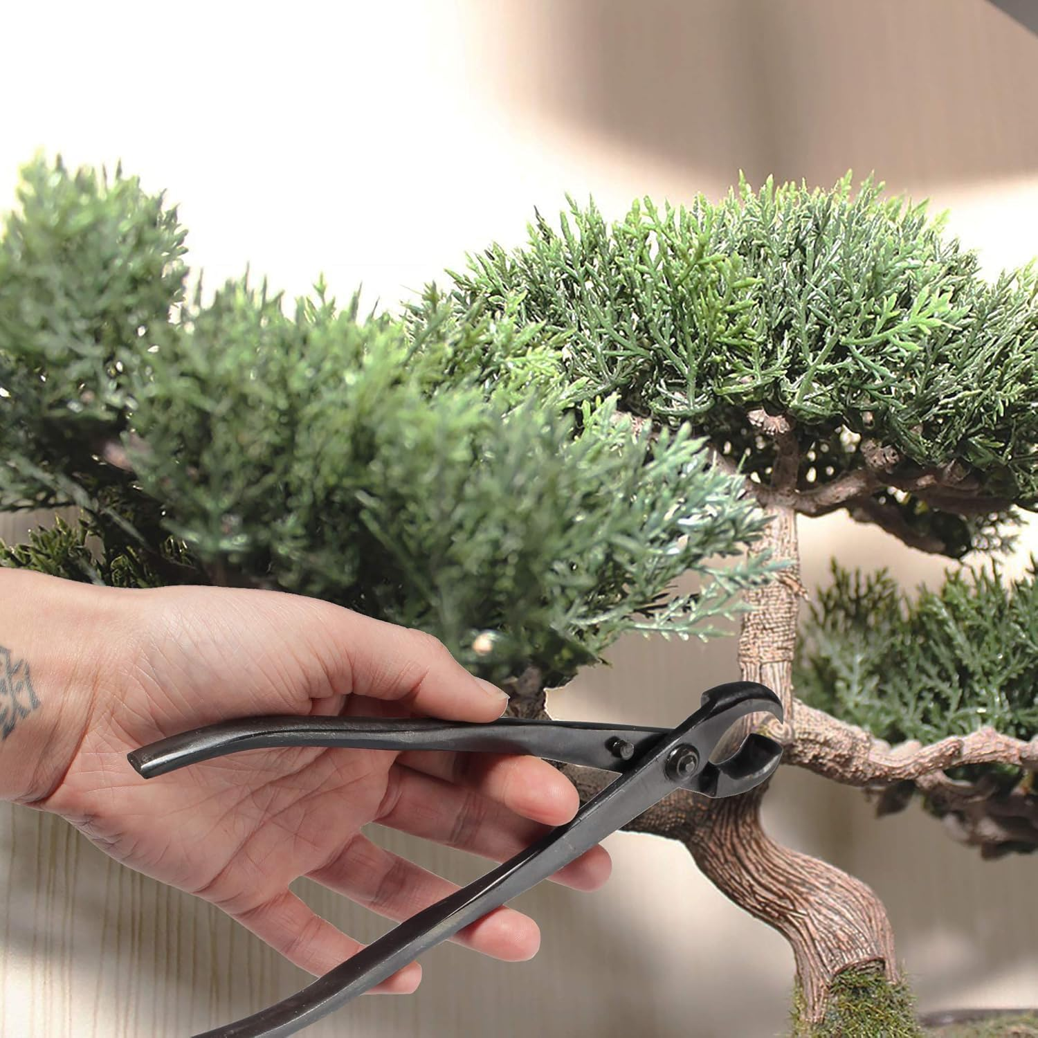 Branch Cutter Pruning Cutter, Multifunctional Garden Shears Bonsai Branch Cutter, Bonsai Gardening Shears Scissors Tool, 21Cm Round-Edged Concave Knotted Pruning Shears Garden Bonsai Tool Scissors (1)