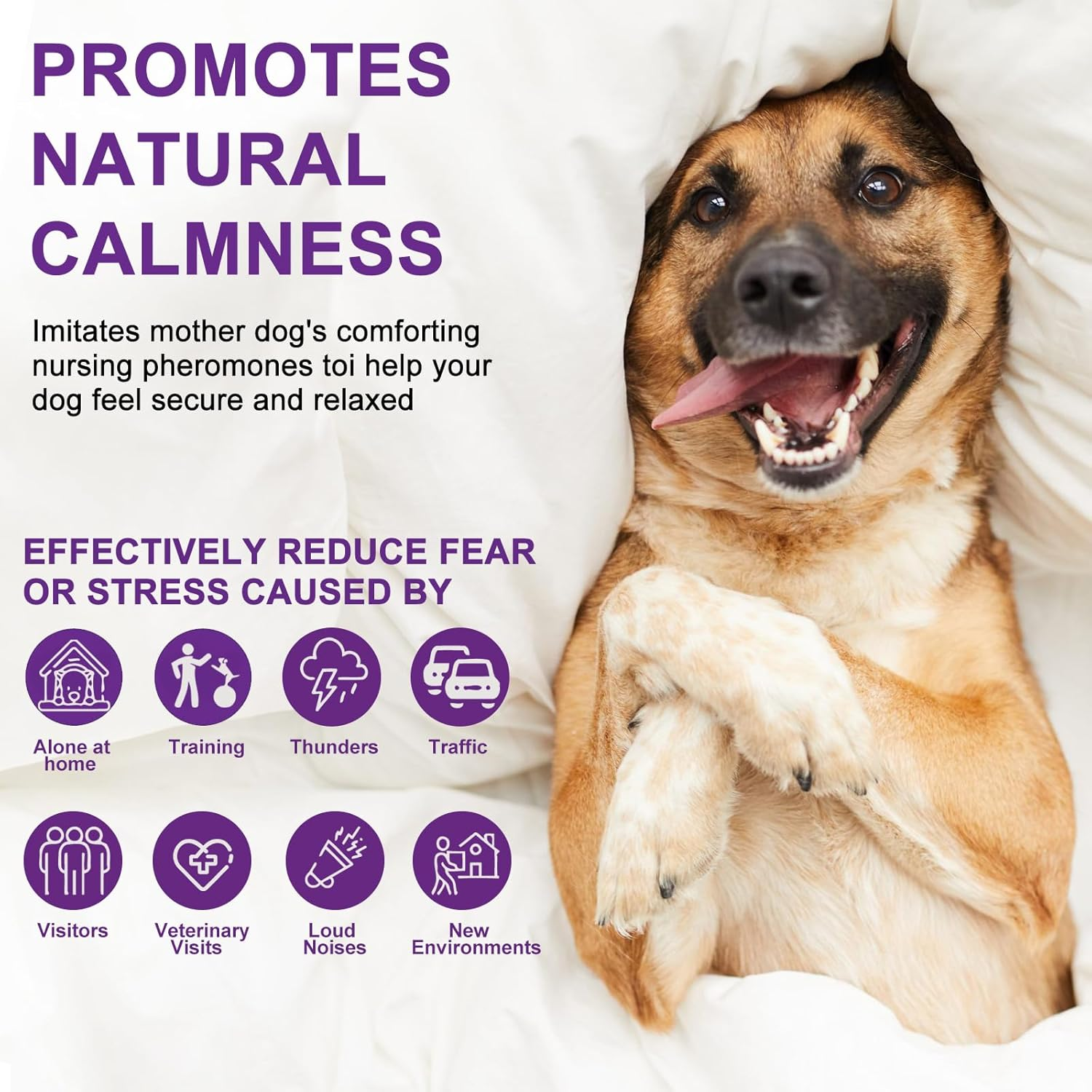 Dog Calming Pheromone Diffuser, Pet Calming Diffuser for Dog Anxiety Relief 3 Refills,Relieve Separation Anxiety, Stress Barking and Chewing Calm Relaxing image number 2