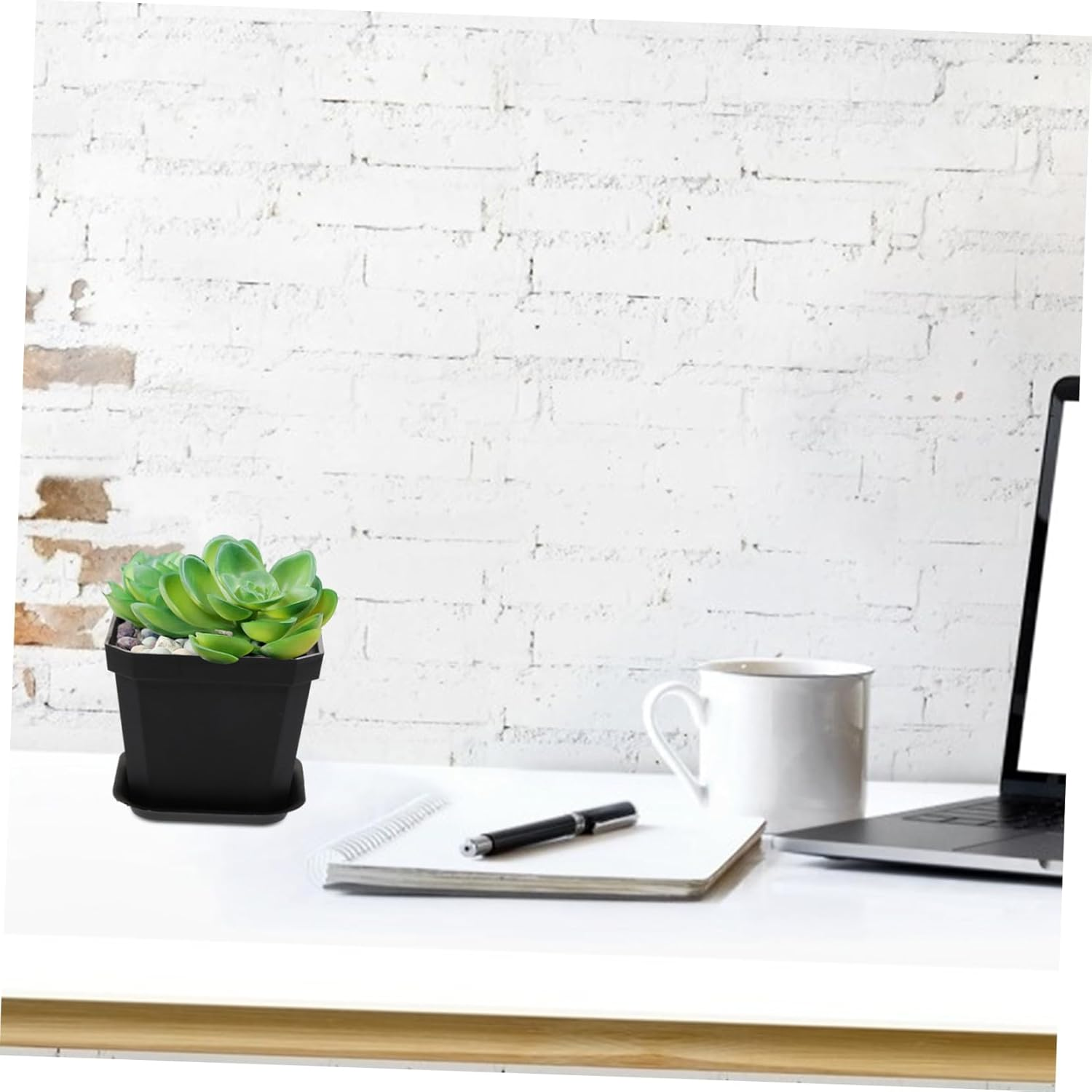 SUPVOX 10 Pcs Mini Succulent Flower Pots Plastic Plant Pots with Tray Thickened Seedling Containers for Plants Ferns Indoor Gardening