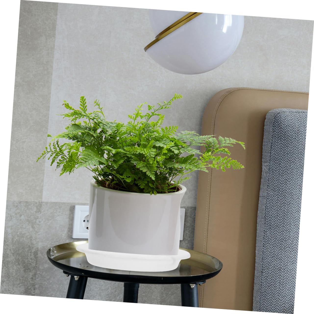 FONDOTIN 10Pcs Water Catcher Trays for Indoor Plants Thickened round Drip Saucers Drainage Base for Outdoor Gardening Versatile Flower Pot Water Trays