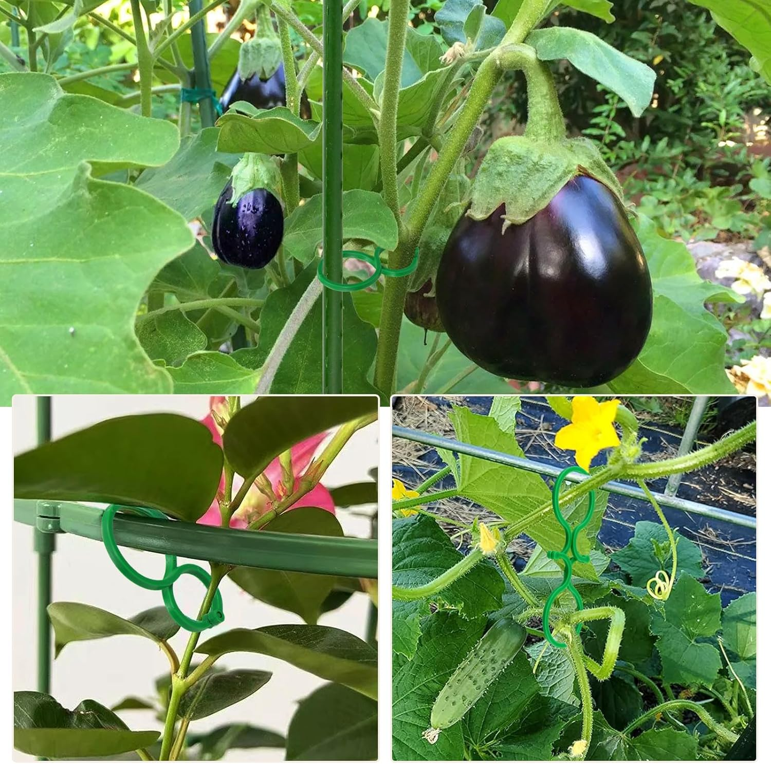 Hysagtek Pack of 200 Plant Clips for Supporting and Attaching Plants, Plant Clips, Trellis for Garden, Plants, Vegetable Fruit, Climbing Plants (Green) image number 3