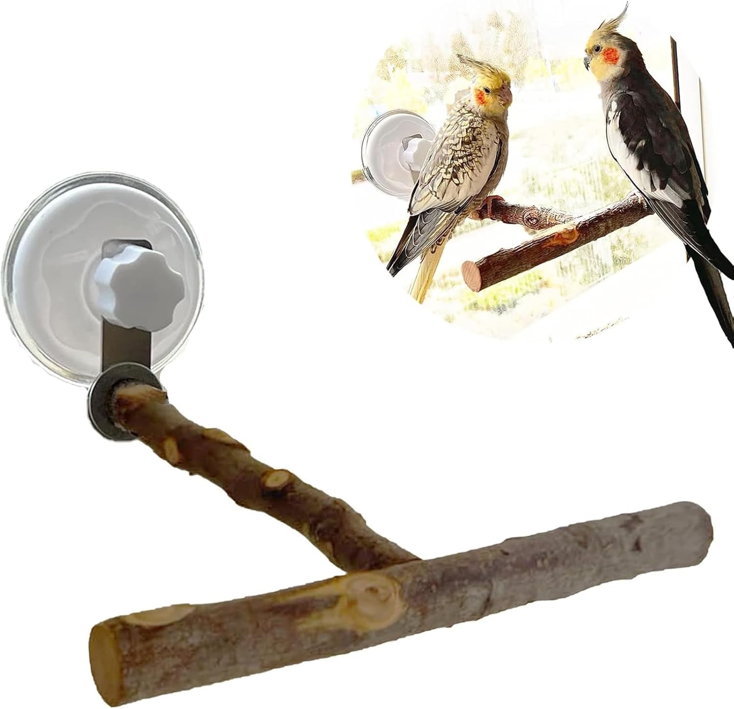 Portable Bird Perch Stand- T-Shaped Natural Apple Wood with Vacuum-Grip Suction Cup for Windows, Flat Tiles, Bath/Car/Travel - Durable & Safe for Parrots, Cockatiels, Lovebirds (Small to Medium Birds) image number 4