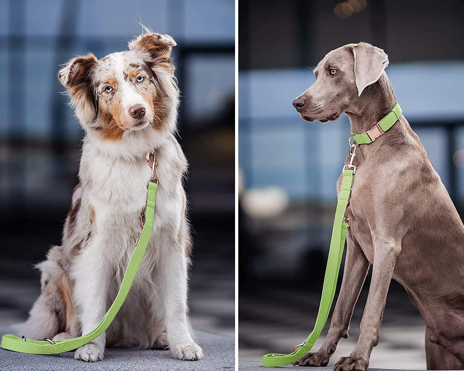 Soft Leather Dog Collar and Leash (6.6') Set - Stylish Rose Gold Heavy Duty Metal Buckle, 4 Adjustable Lengths Leash for Small Medium Large Dogs - Comfortable & Easy to Clean XS(8"-12"), Avocado image number 2