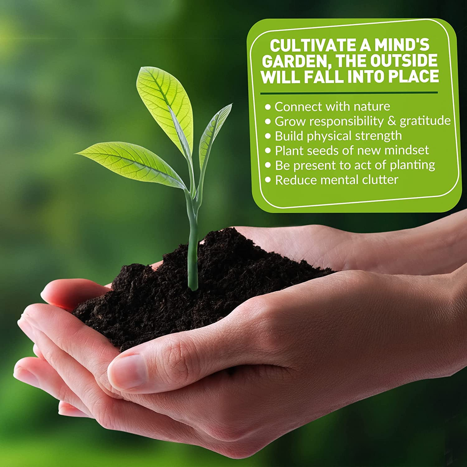 Kiizys Indoor Garden Tool Kit &ndash; 12-Piece Small Gardening Hand Tools Set &ndash; Wood & Stainless Steel &ndash; Gift Box Accessories &ndash; Birthday Gifts for Women, Men, Mums, House Warming image number 2