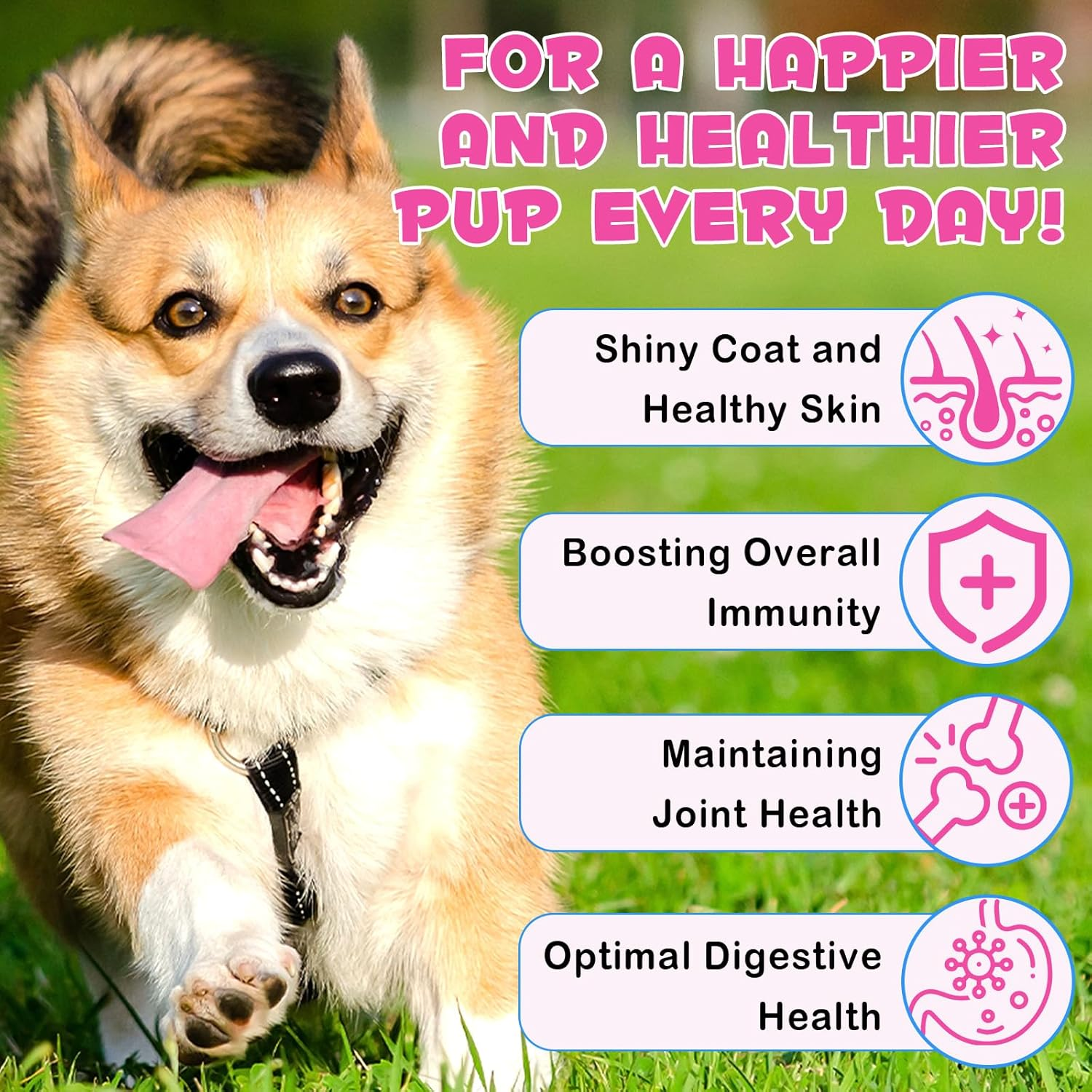 Collagen for Dogs, Liquid Collagen for Dog, Skin & Coat Supplement for Dogs, Bacon Flavor, with Biotin, MSM & Ginger, 2 Fl.Oz image number 3