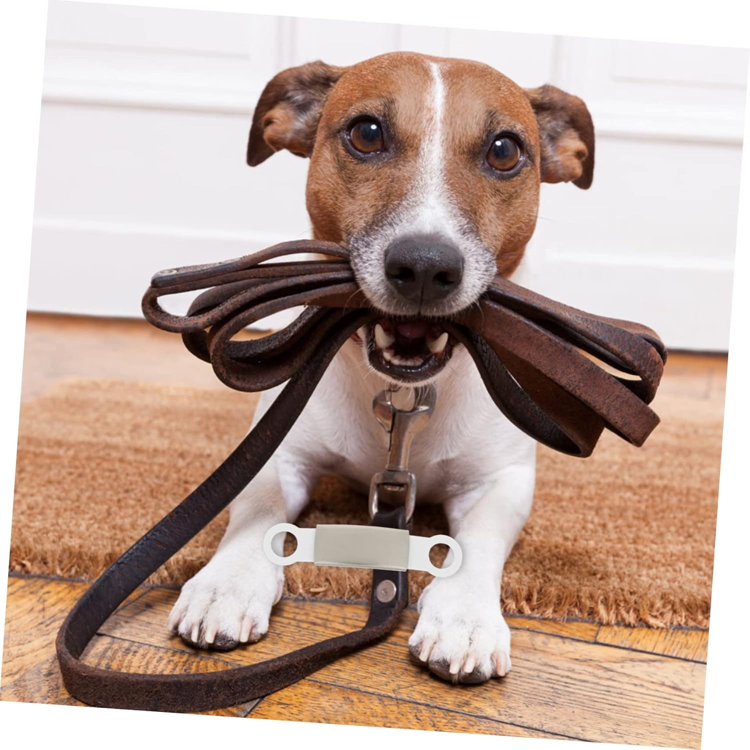 BUGUUYO 5Pcs Decorative Pet Name Tags for Dogs Personalized Dog Identity Tags Durable Pet Id Tags for Collars Dog Name Tags Dog Accessories for Pet Safety image number 5