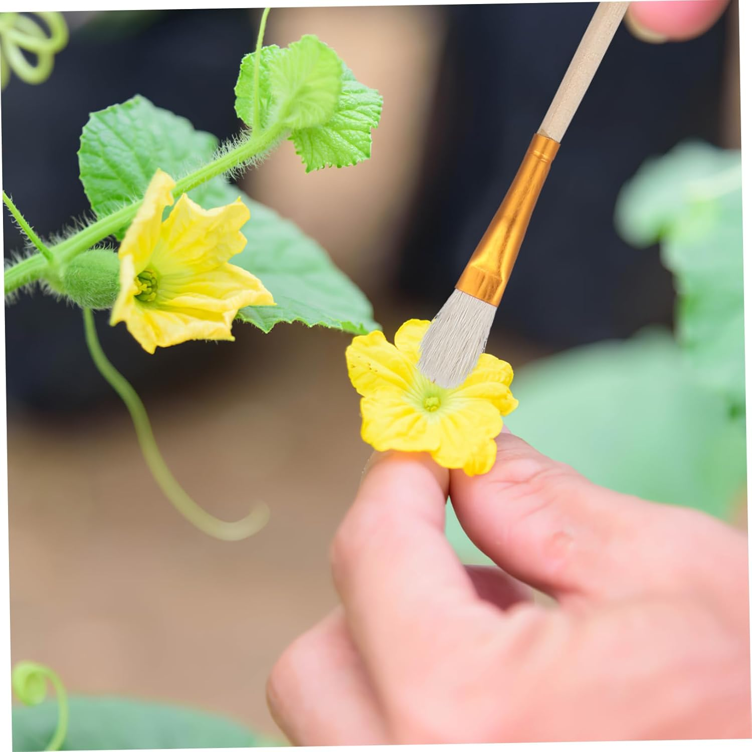 Sosoport 8Pcs Pollinator Pen Hand Pollination Brush Tools for Flower Fruit Tree Pollination Outdoor Gardening Supplies image number 4