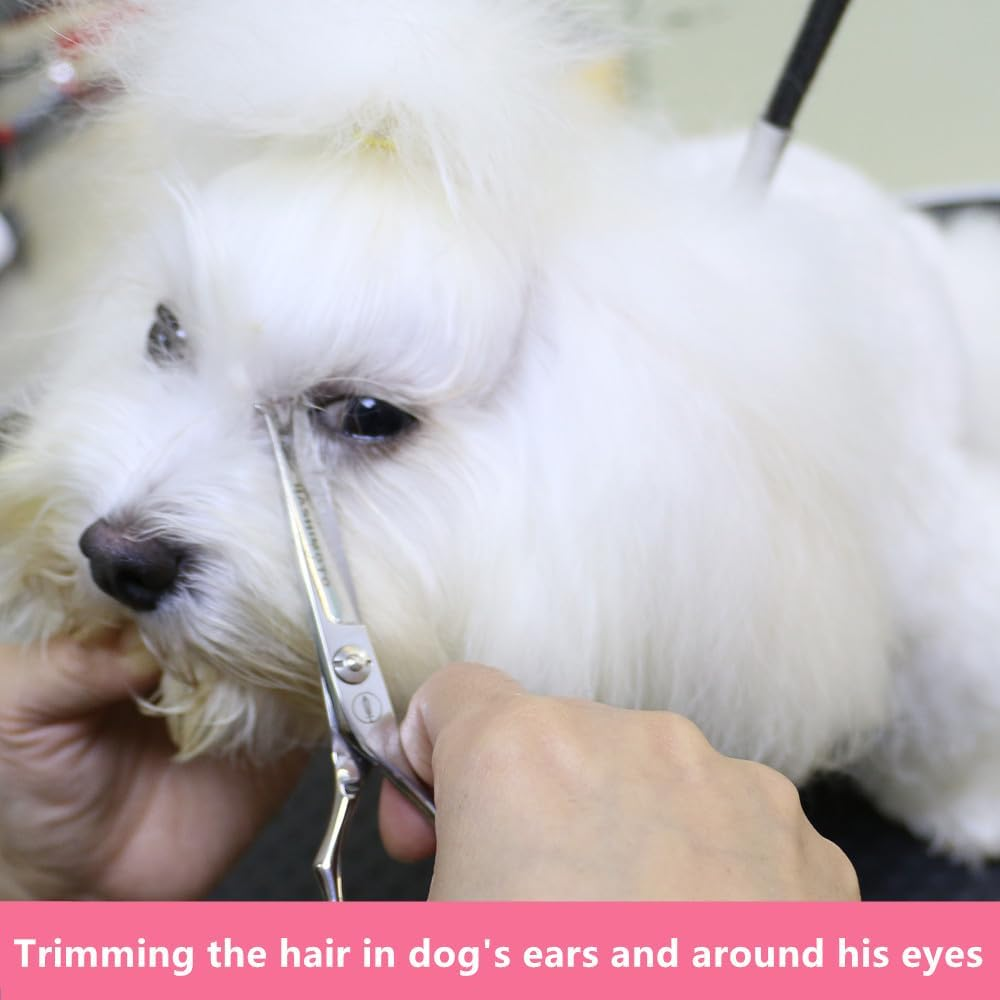 HASHIMOTO Small Dog Scissors with Rounded Tips, 5.0 Inches, Straight Blade with Micro Serration, Designed for Trimming around the Eyes, Ears, Nose and Paws. image number 4