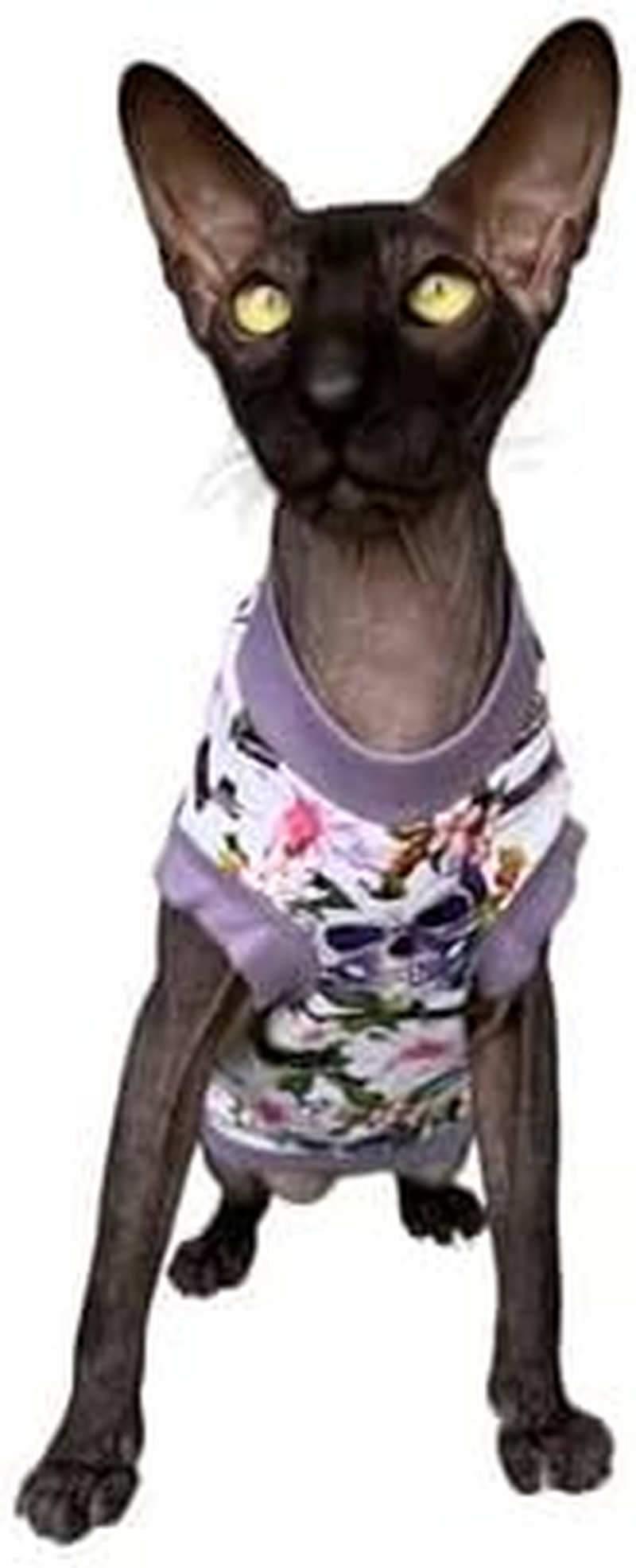 Kotomoda Purple Skull Cat T-Shirt for Sphynx and Naked Cats (Small) image number 6