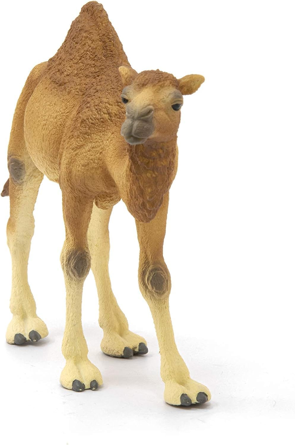 Schleich Wild Life Realistic Dromedary Camel Figurine - Authentic and Highly Detailed Wild Animal Toy, Durable for Education and Fun Play, Perfect for Boys and Girls, Ages 3+, Multicolor, 3.9 Inch image number 4
