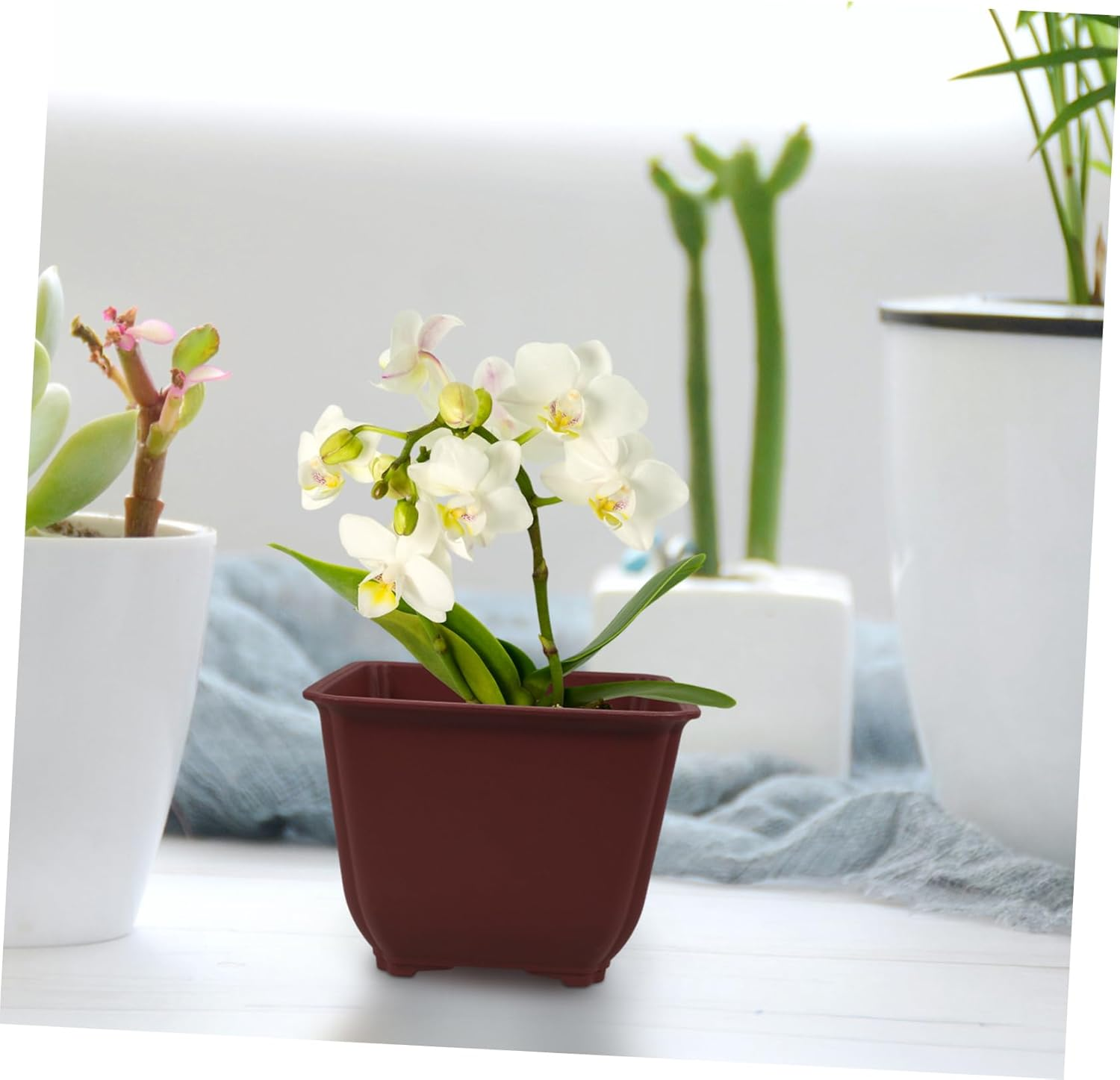 BUTIFULSIC 5Pcs Square Flower Pots Drainage for and Plants for Indoor and Outdoor Gardening image number 2