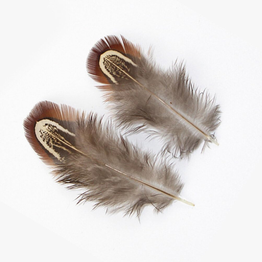 Tofficu Feathers Natural Crafts : Feathers for Crafting - Pheasant Feathers for Dream Catcher DIY Craft Projects