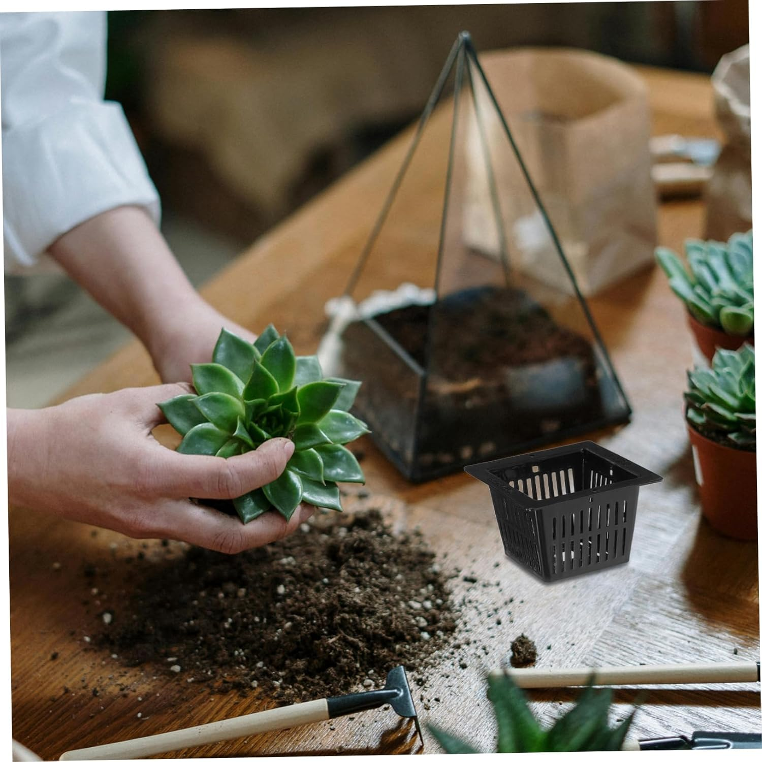 BEBEMOKO 12Pcs Black Square Hydroponic Planter Pots for Indoor and Outdoor Gardening, Plastic Mesh Net Nursery Containers for Succulents and Leafy Vegetables, Sturdy Filter Plant Cups image number 3