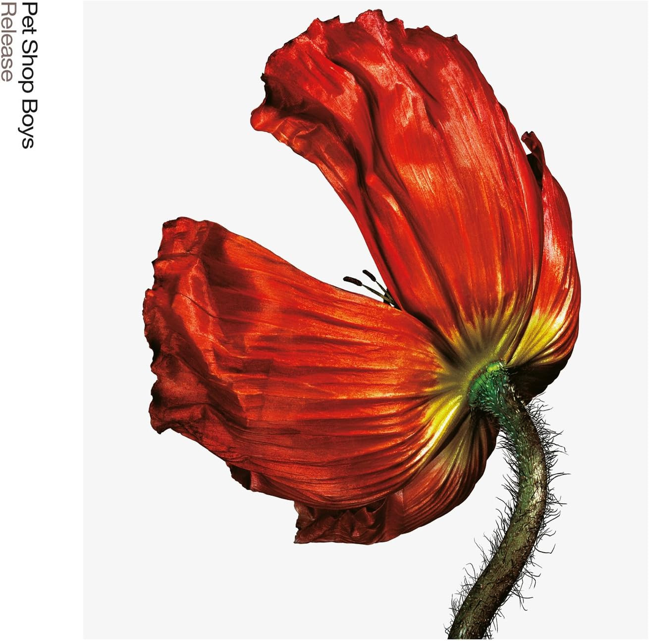 RELEASE: FURTHER LISTENING 200 (2017 Rei image number 1