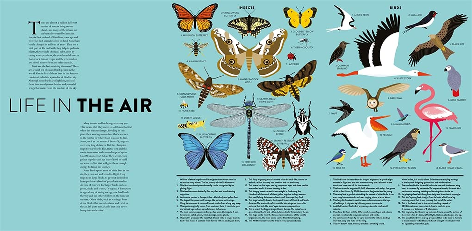 The Sky: with Lasercuts and Flaps Throughout image number 3