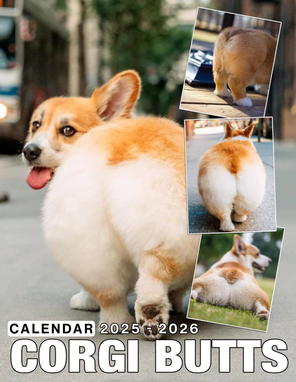 Corgi Butts Calendar 2025 - 2026: 24 Months Jan 2025 to December 2026, 17" X 22" Opened, Thick & Sturdy Paper, Great Gift for Organizing & Planning, US Holidays