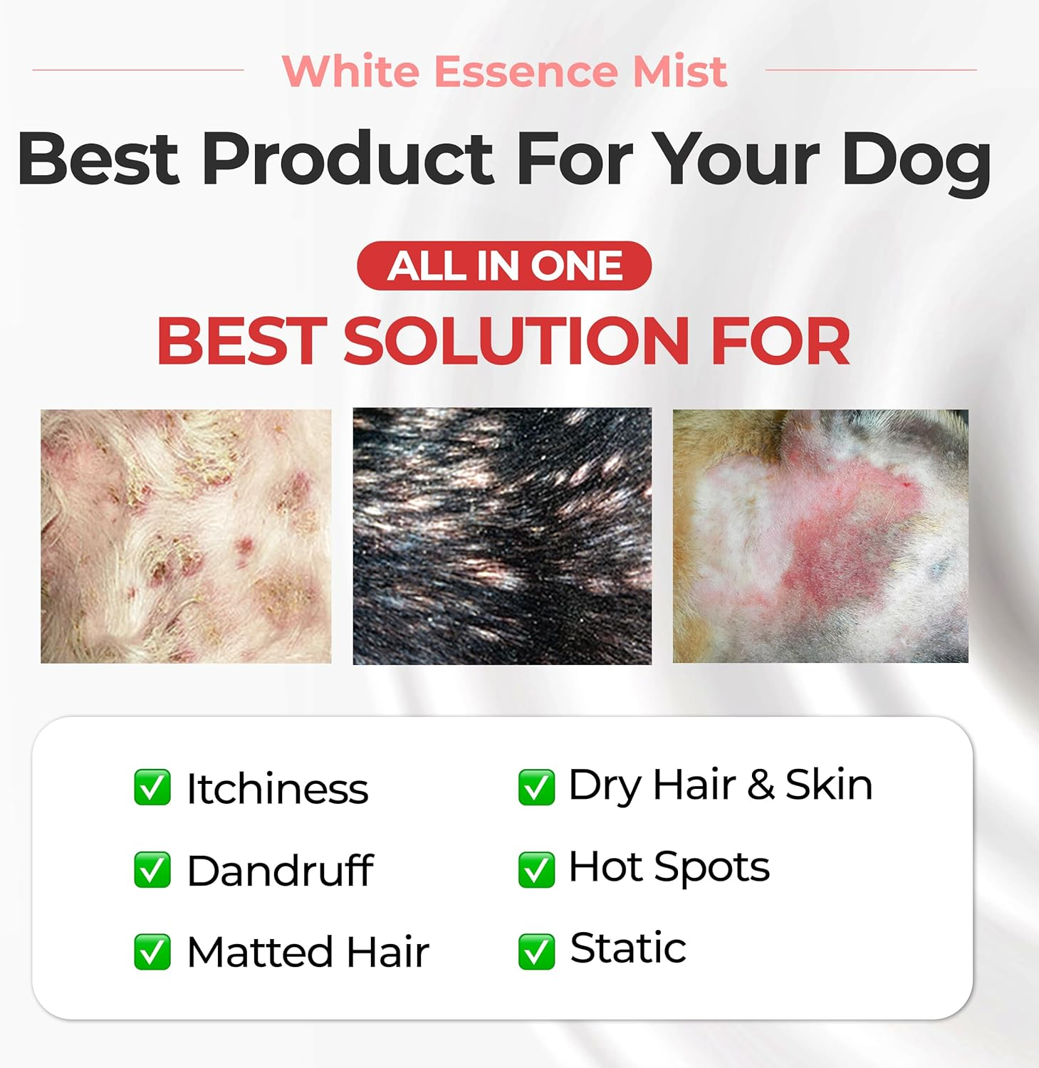 JAYU PET White Essence Mist - Dog Itch Relief, Hypoallergenic Soothing Spray, Dandruff & Dry Skin Spray (170Ml, 5.8Fl Oz)