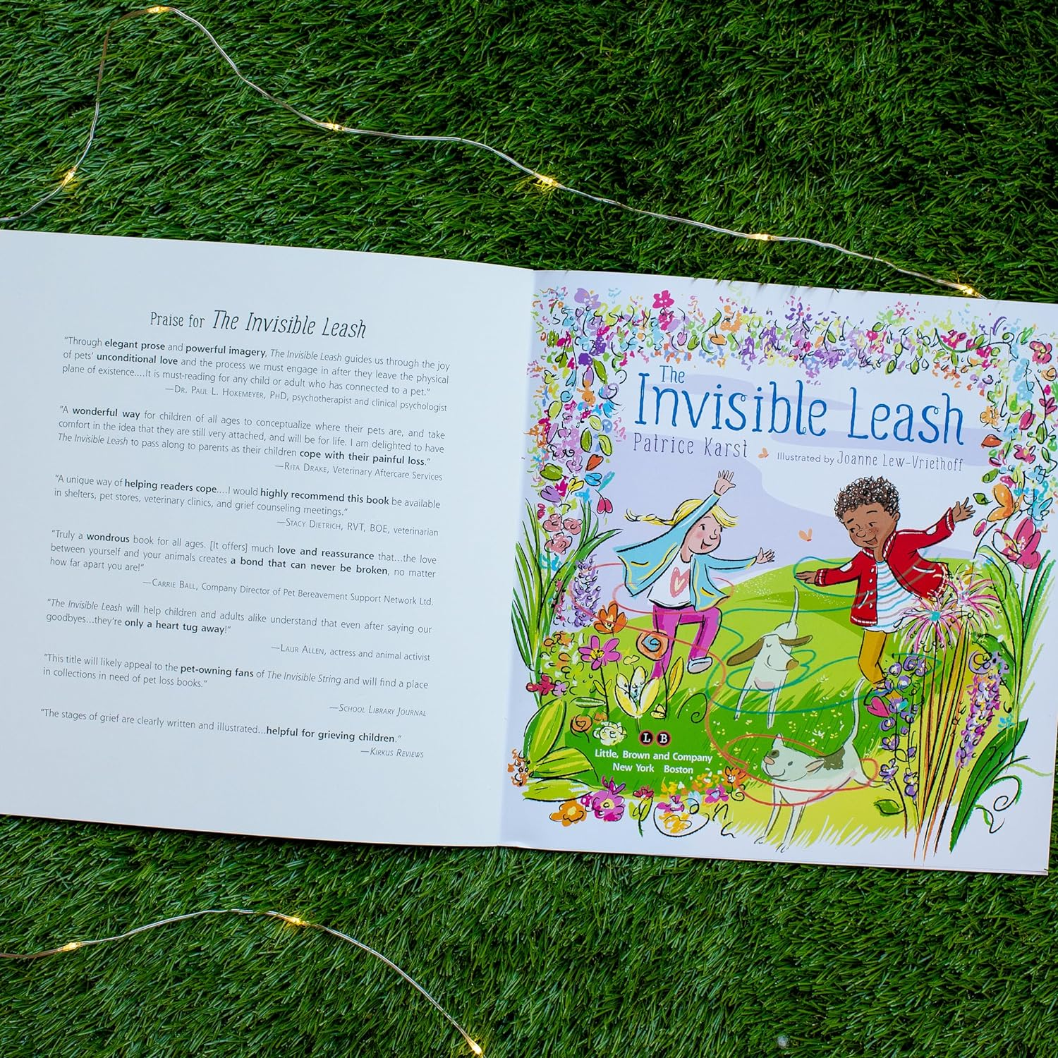 The Invisible Leash: a Story Celebrating Love after the Loss of a Pet: 3 image number 5