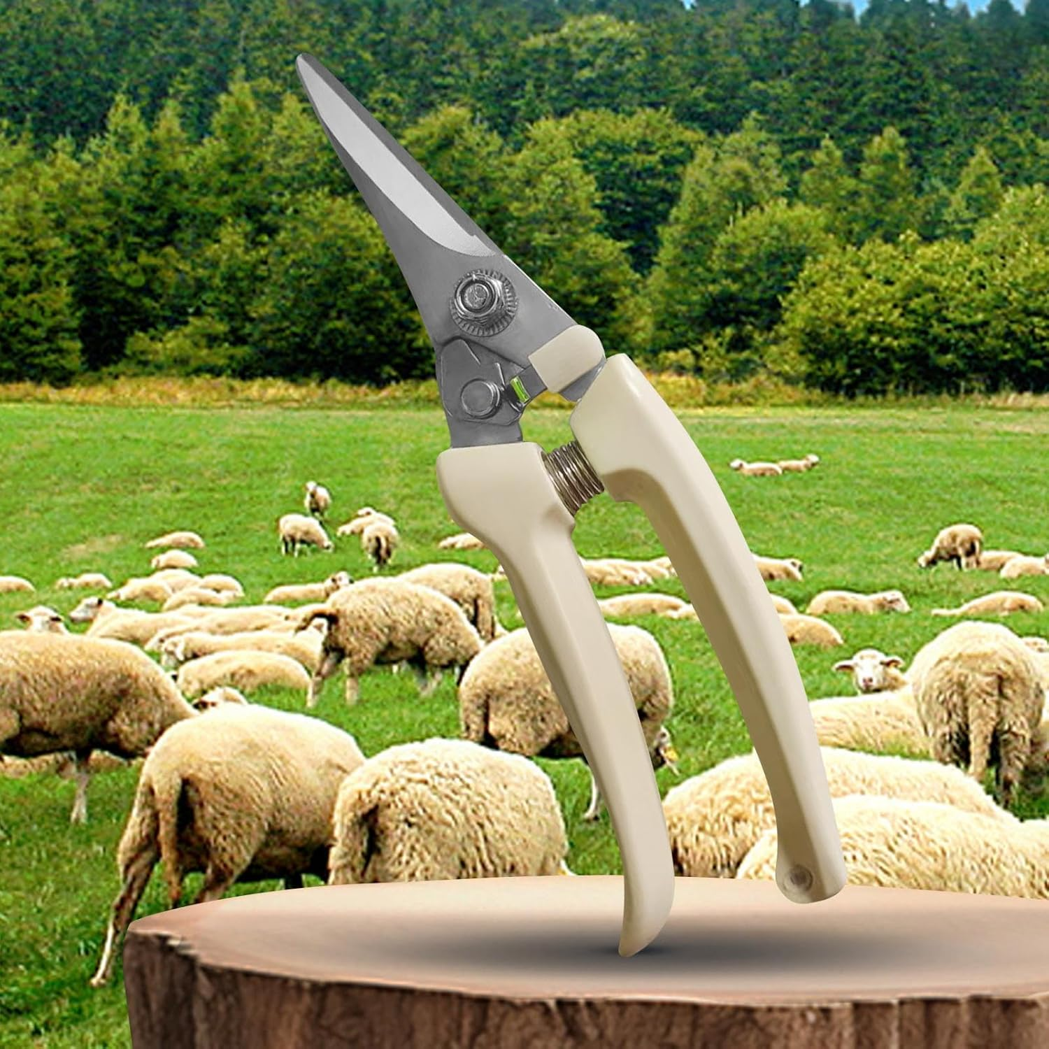 Goat Hooves Trimmer | Stainless Steel Horse Hoof Trimming Tools,Ergonomic Rustproof Shears Clippers for Livestock Trimming Pruning Ranch Farm Lamb Alpaca image number 2