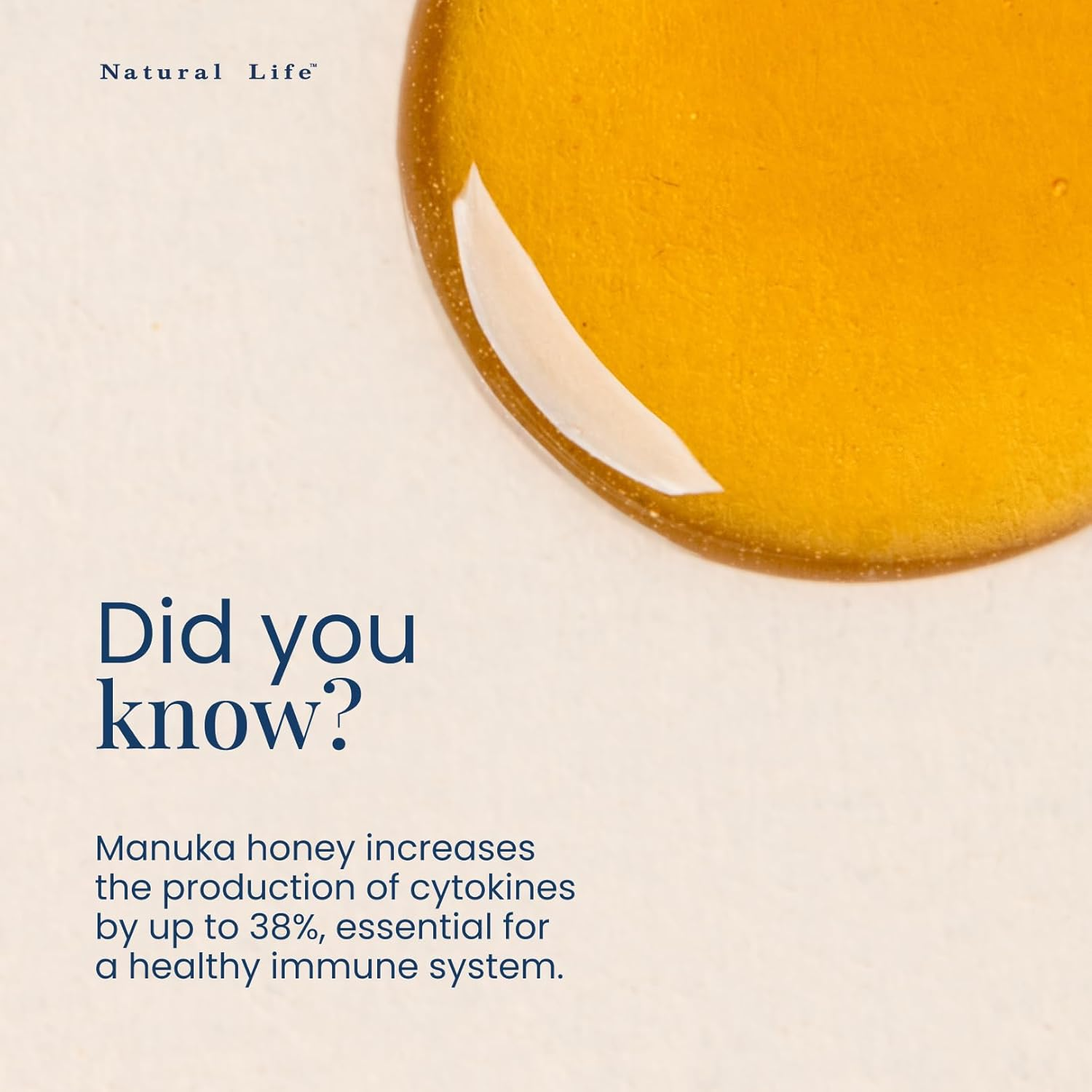 Natural Life Australian Manuka Honey MGO 550+ | 250 G image number 6