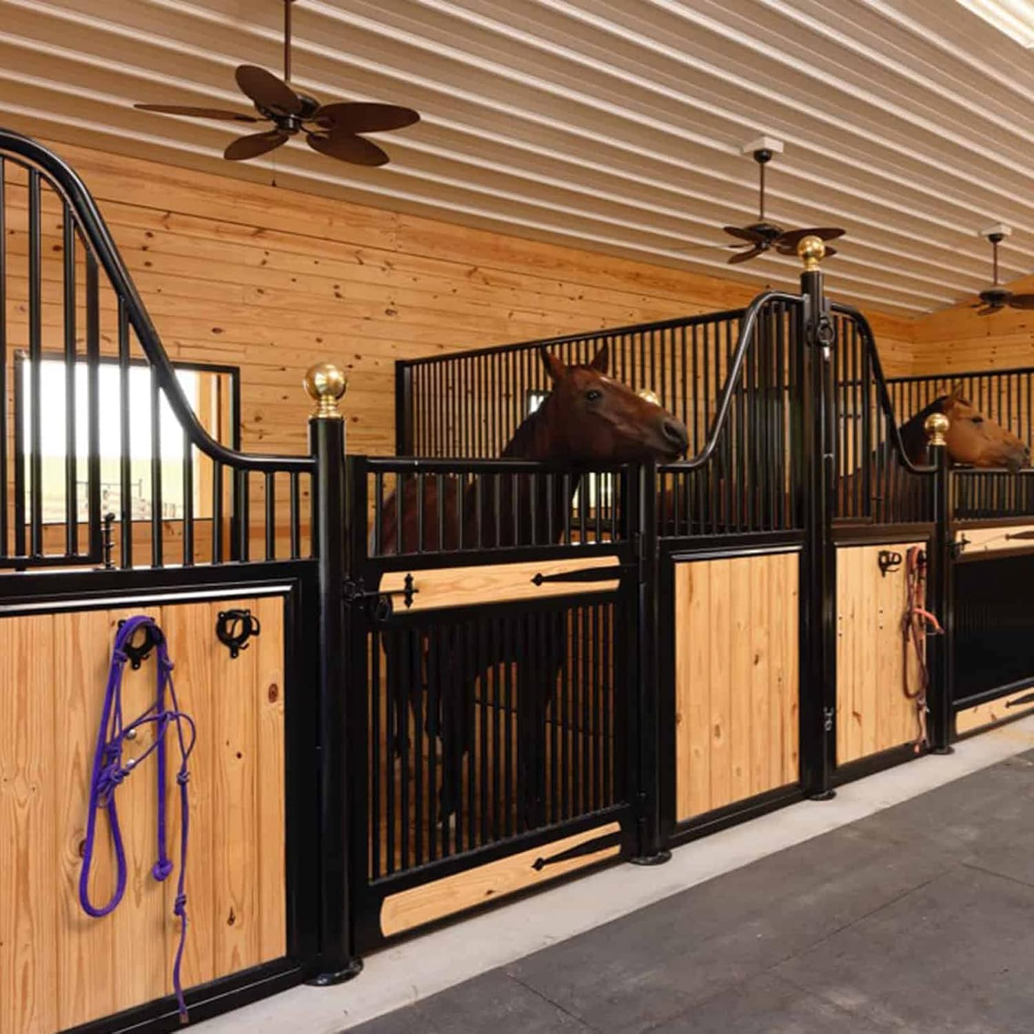 6 Counts Horse Bridle Rack Bracket Hooks Metal Halter Hanger with Tubes and Screws for Horse Barn Supplies, Black image number 6