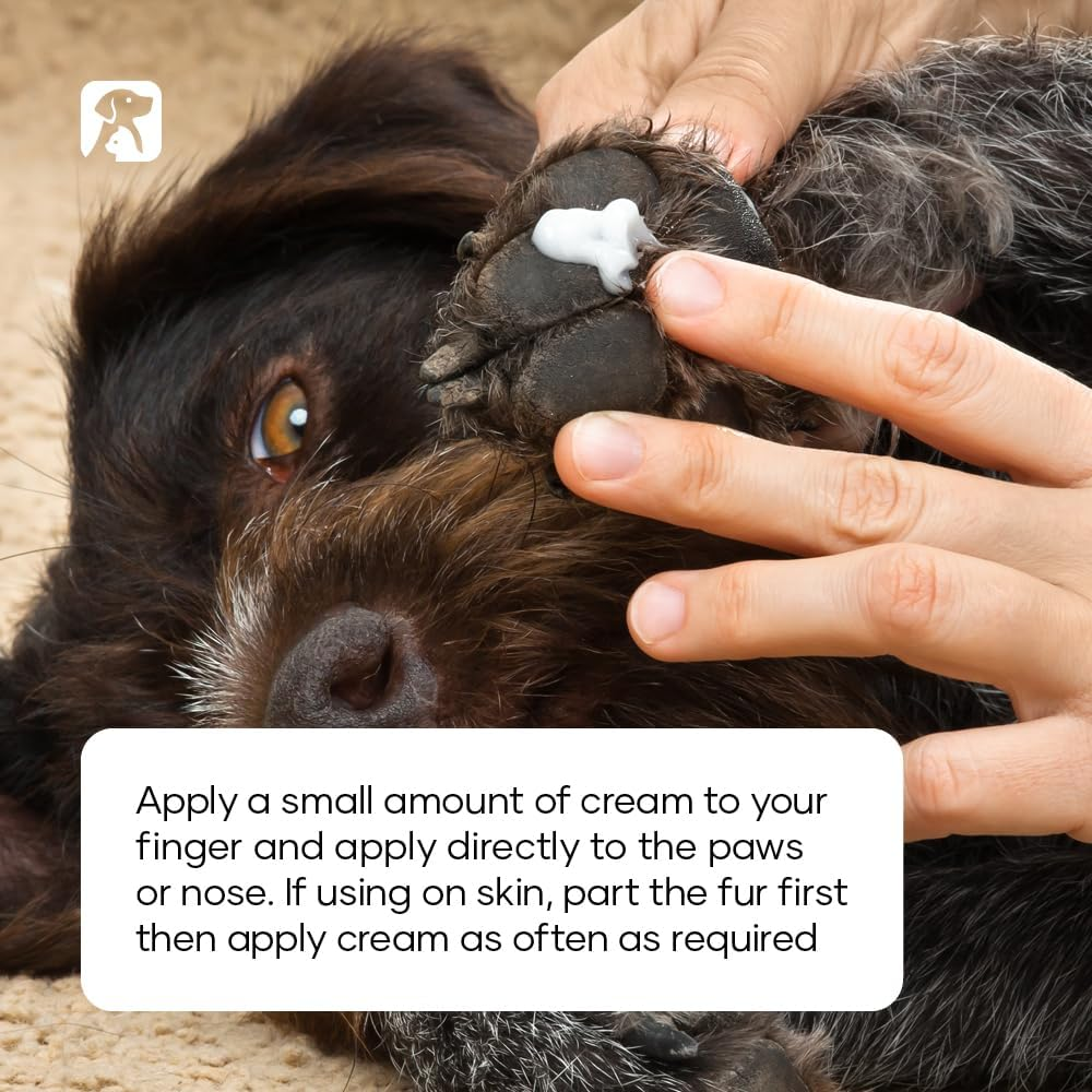 Natural Animal Solutions Dermal Cream for Dog Skin Irritation Support. Dog Dry Skin Treatment - Ideal for Paws, Nose, Elbows and Itchy Skin. Dog Rash Cream, 60G image number 5