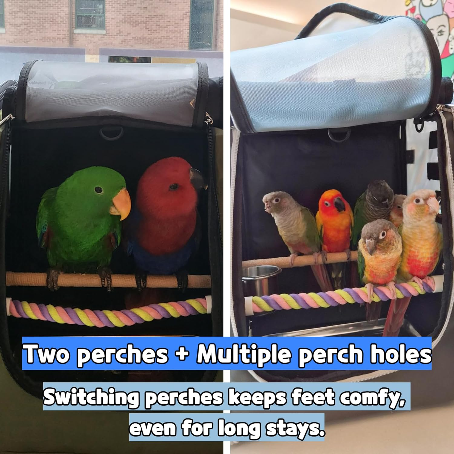 Birds Day Bird Carrier Backpack-Parrot Travel Cage with 2PCS Perch and Food Bowl, Stainless Steel Tray (Charcoal Gray, Small to Medium Birds) image number 3