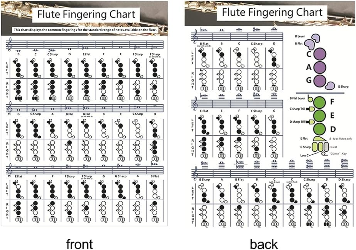SYCOOVEN Flute Chord Chart, Durable Portable Fingering Practice White Chord Chart for Flute Fingering Practice Chord Chart Beginner Student for Teaching or Group Study(Size:S) image number 1